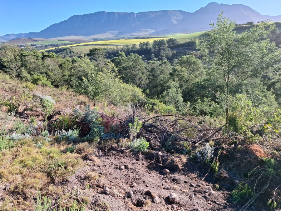 9 Bedroom Property for Sale in Riversdale Rural Western Cape